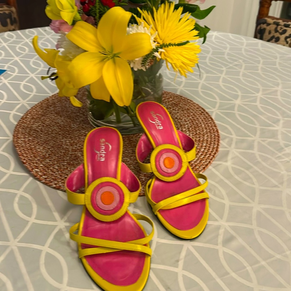 SANDRA BRAZIL HEELS